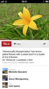 pinterest for iphone